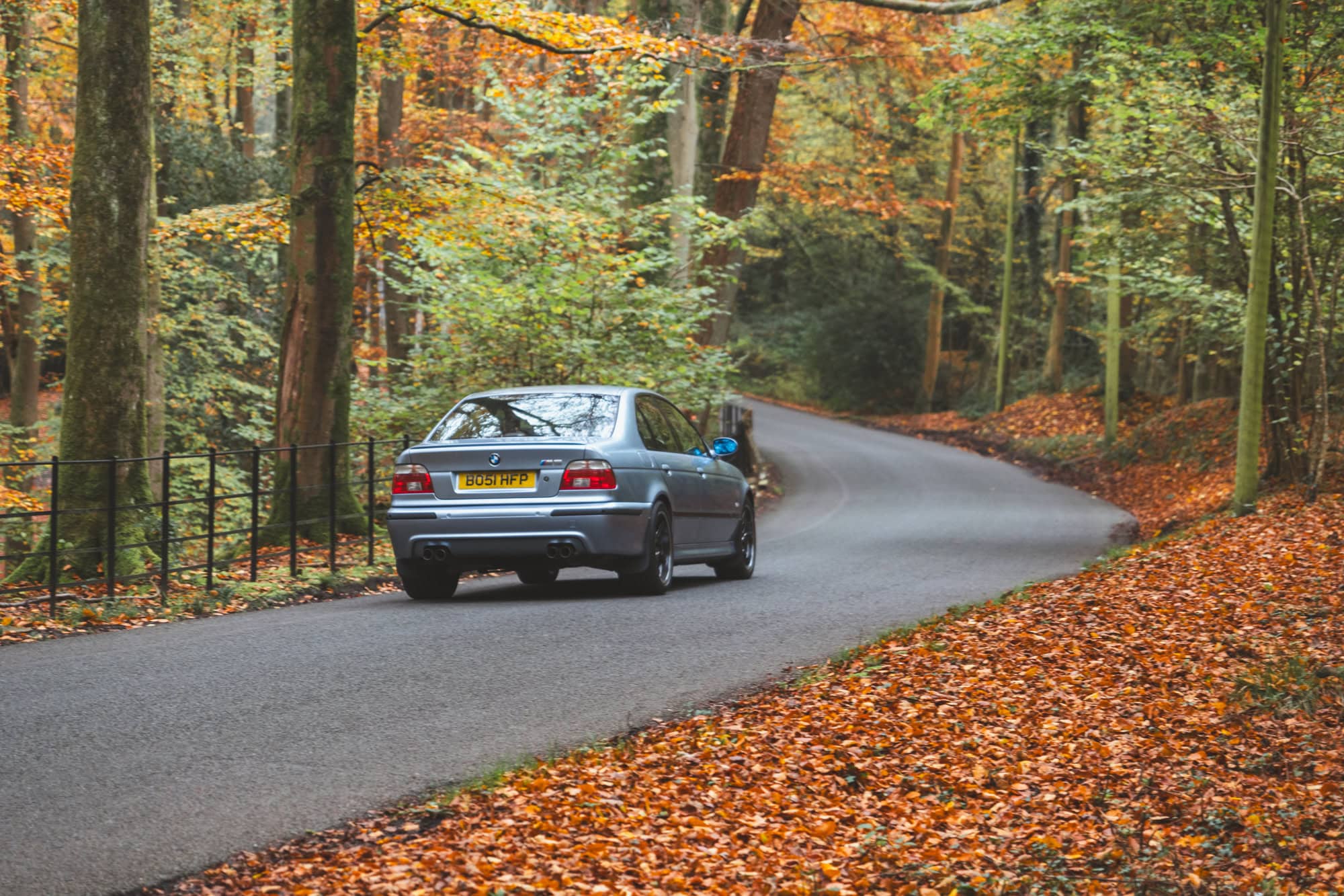 A sweeping autumn road with an E39 BMW M5 in Silverstone blue driving along.