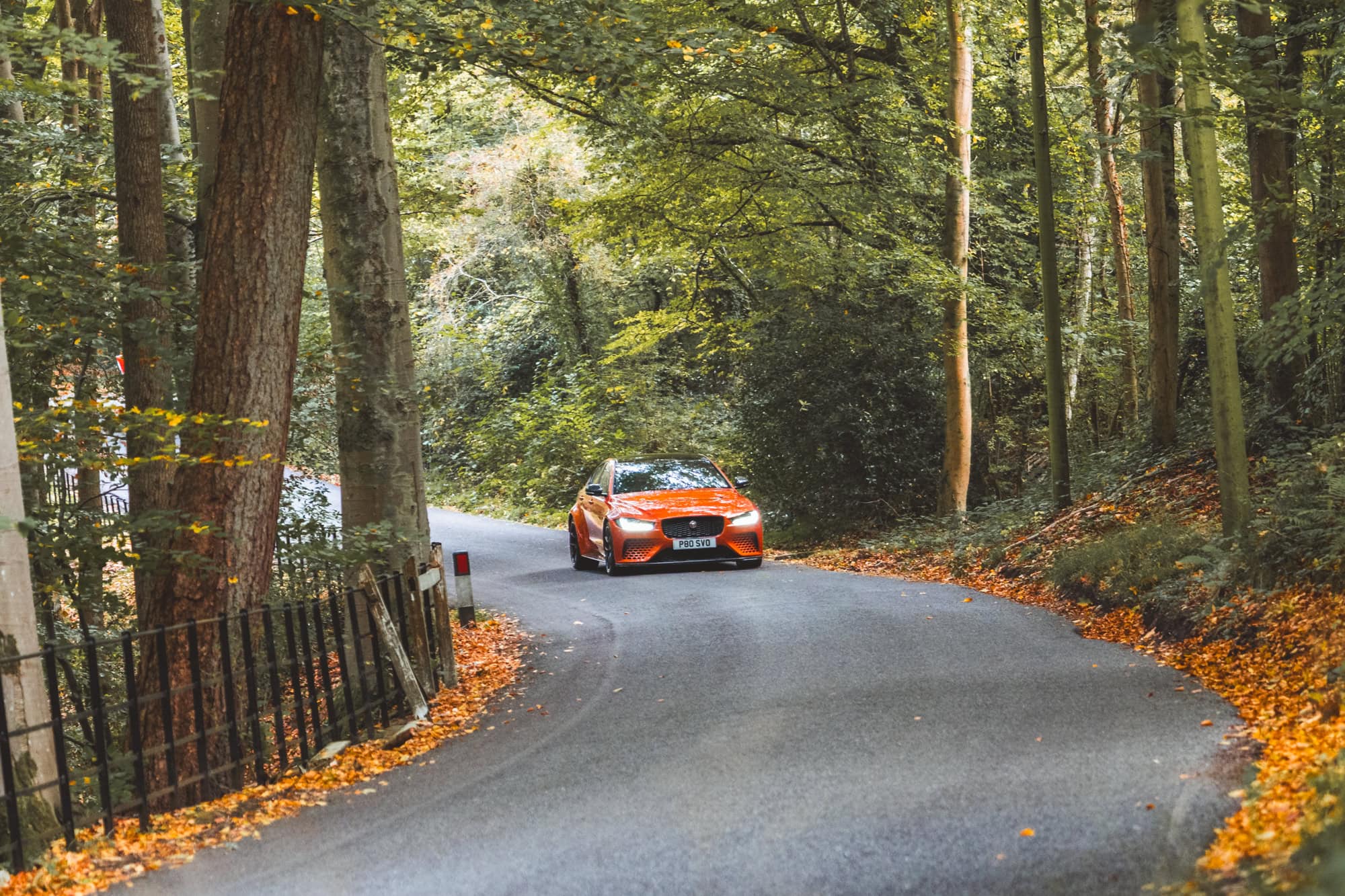 A Jaguar Project 8 saloon in Valencia Orange driving up a windy forest road.