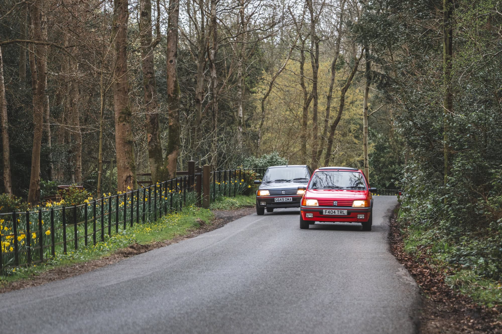 Two Peugeot 205 GTI with headlamps on driving side by side in a country lane with trees fencing and daffodils in the back ground
